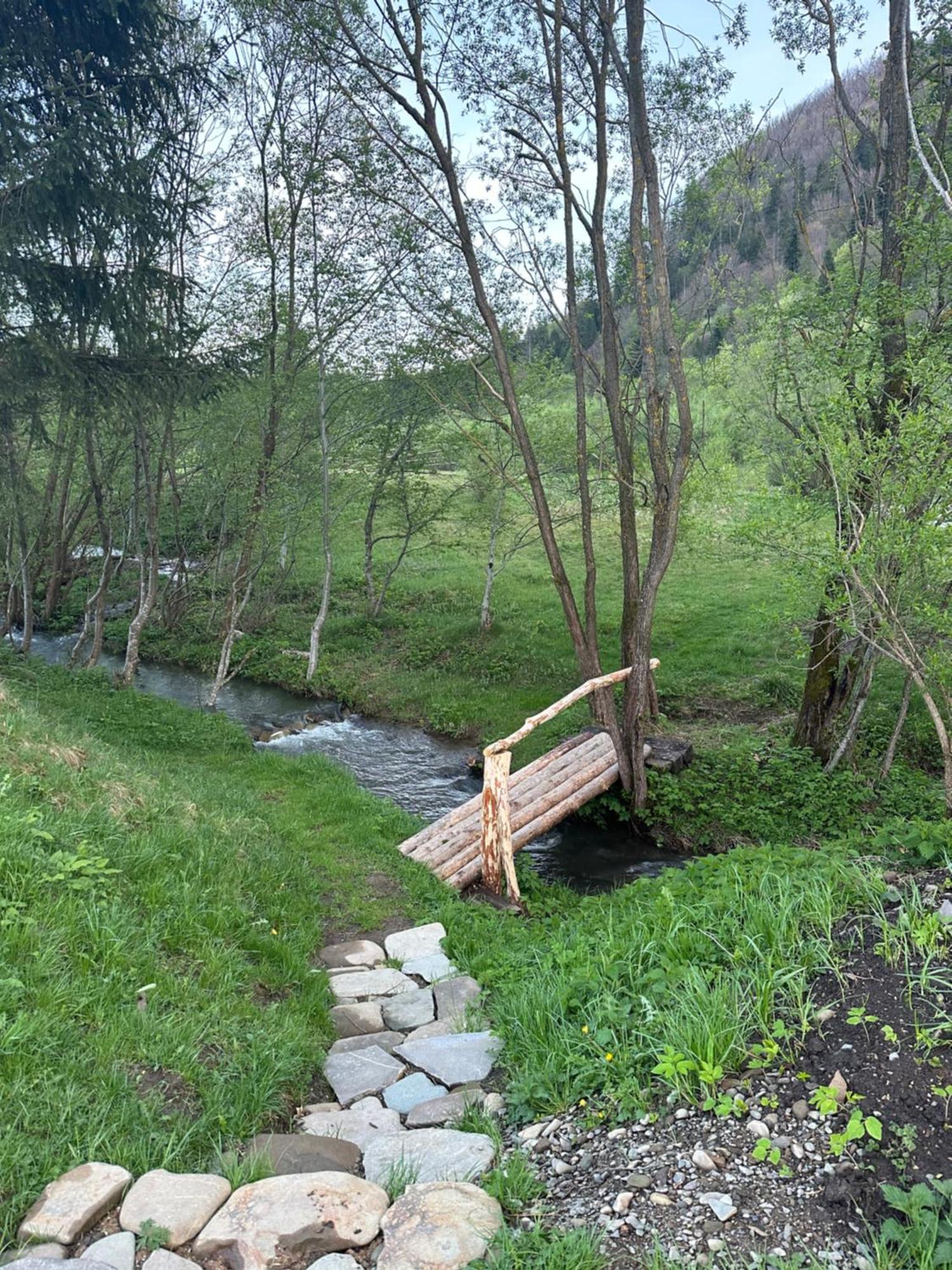 Знакова Хата Appartement Grebenov Buitenkant foto